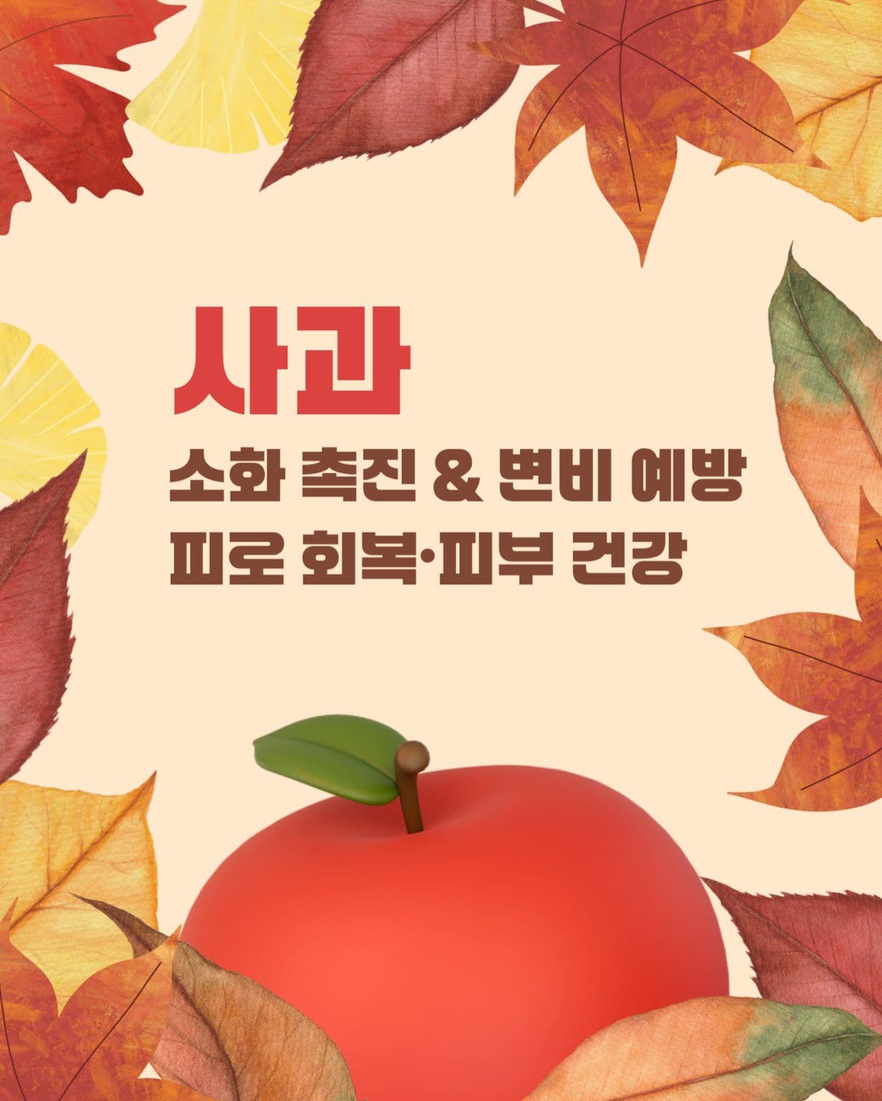 가을 과일 카드뉴스