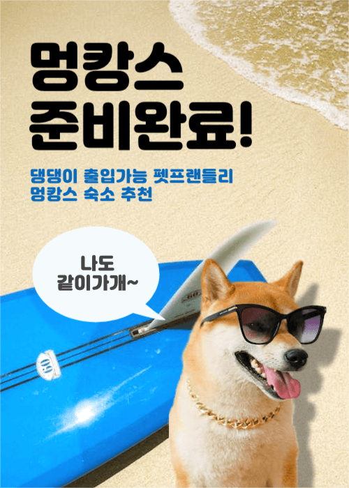 펫호텔 펫휴가 반려동물
