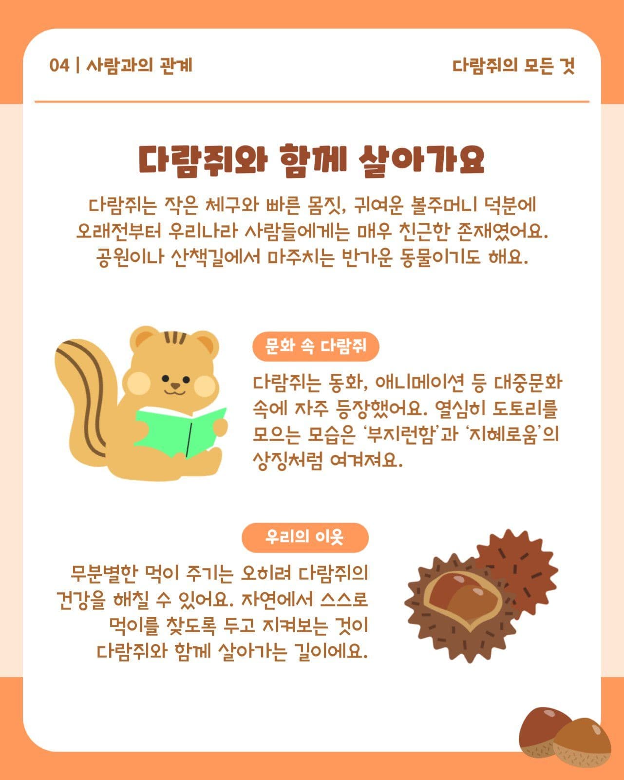 다람쥐 가을 동물 정보 카드뉴스