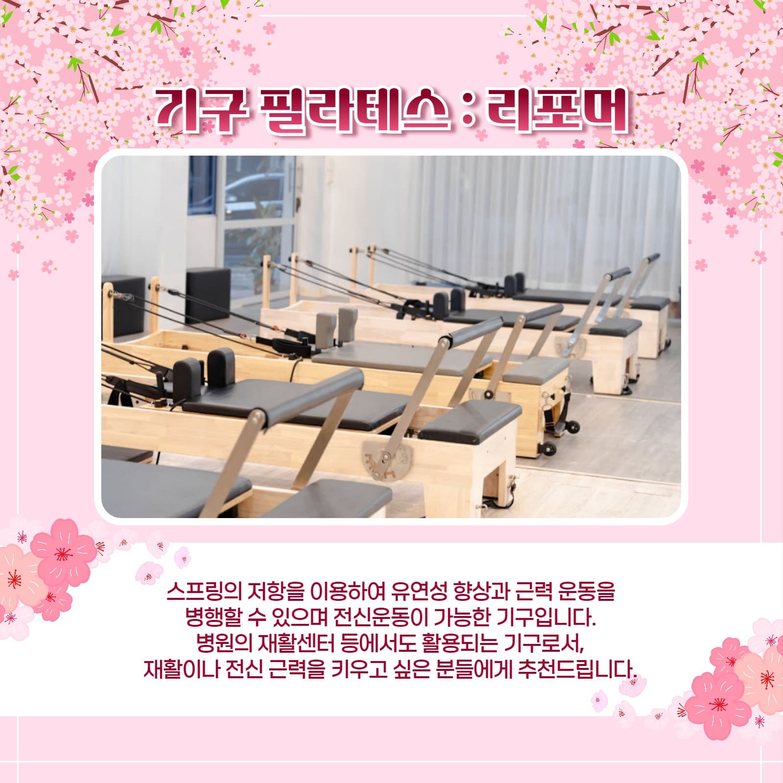봄맞이 필라테스 카드뉴스