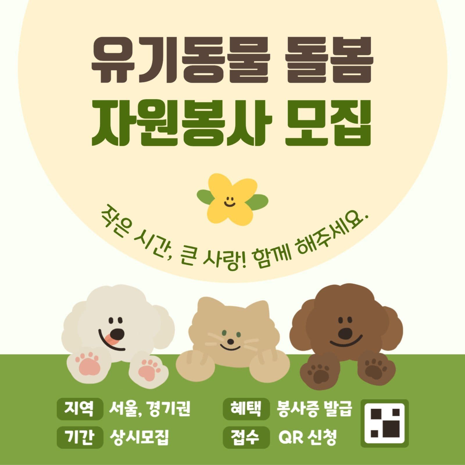 유기동물 돌봄 자원봉사 모집