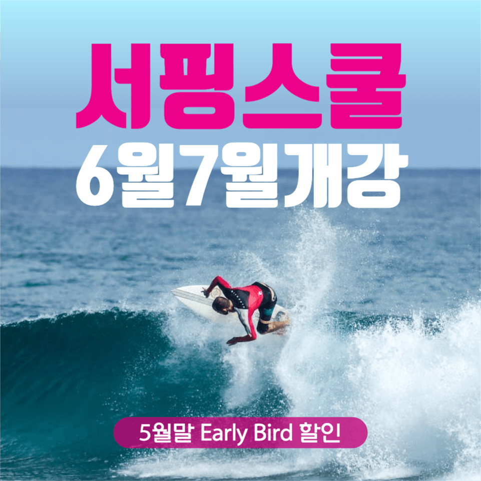 서핑스쿨 회원모집