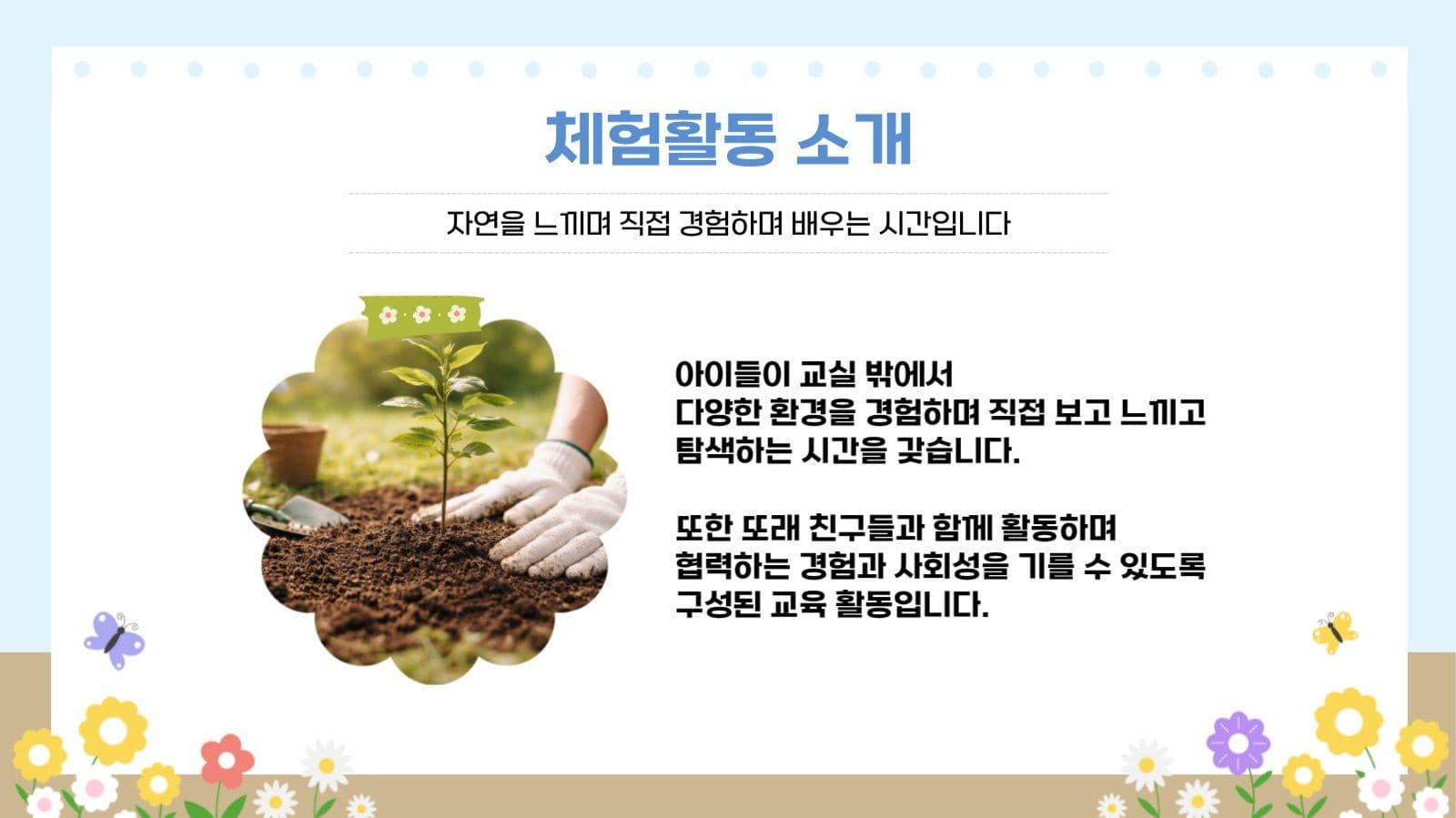 체험활동 안내