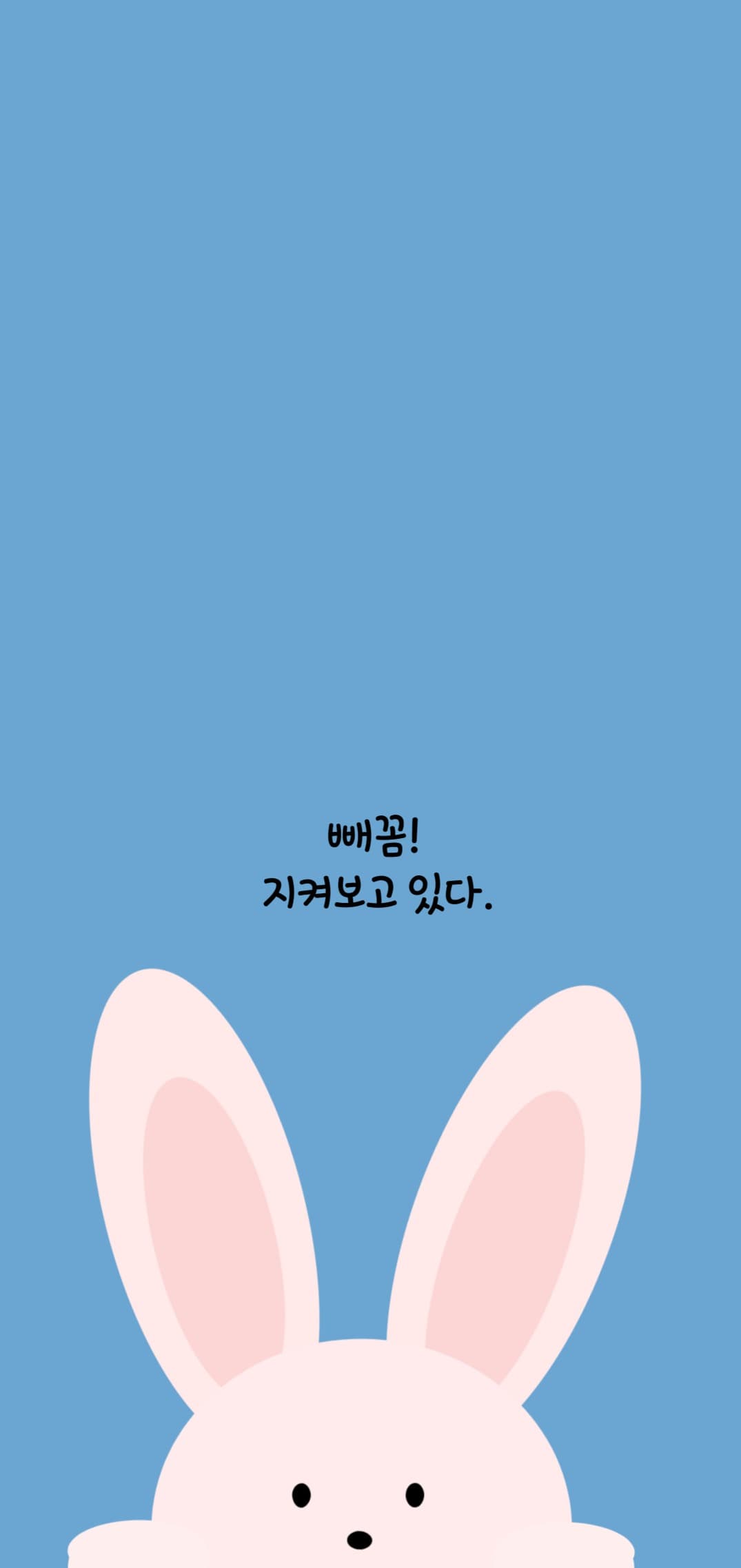토끼의 감시