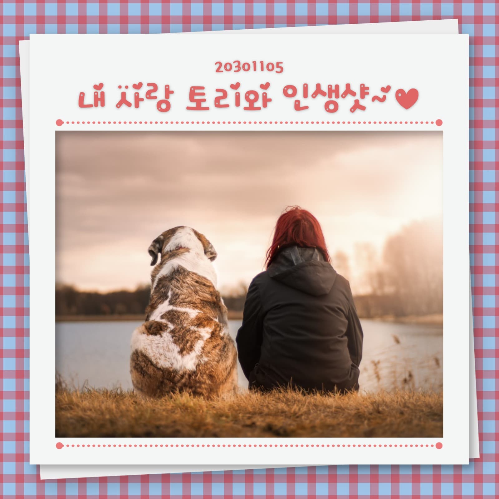 내 사랑 토리와 인생샷 인스타그램