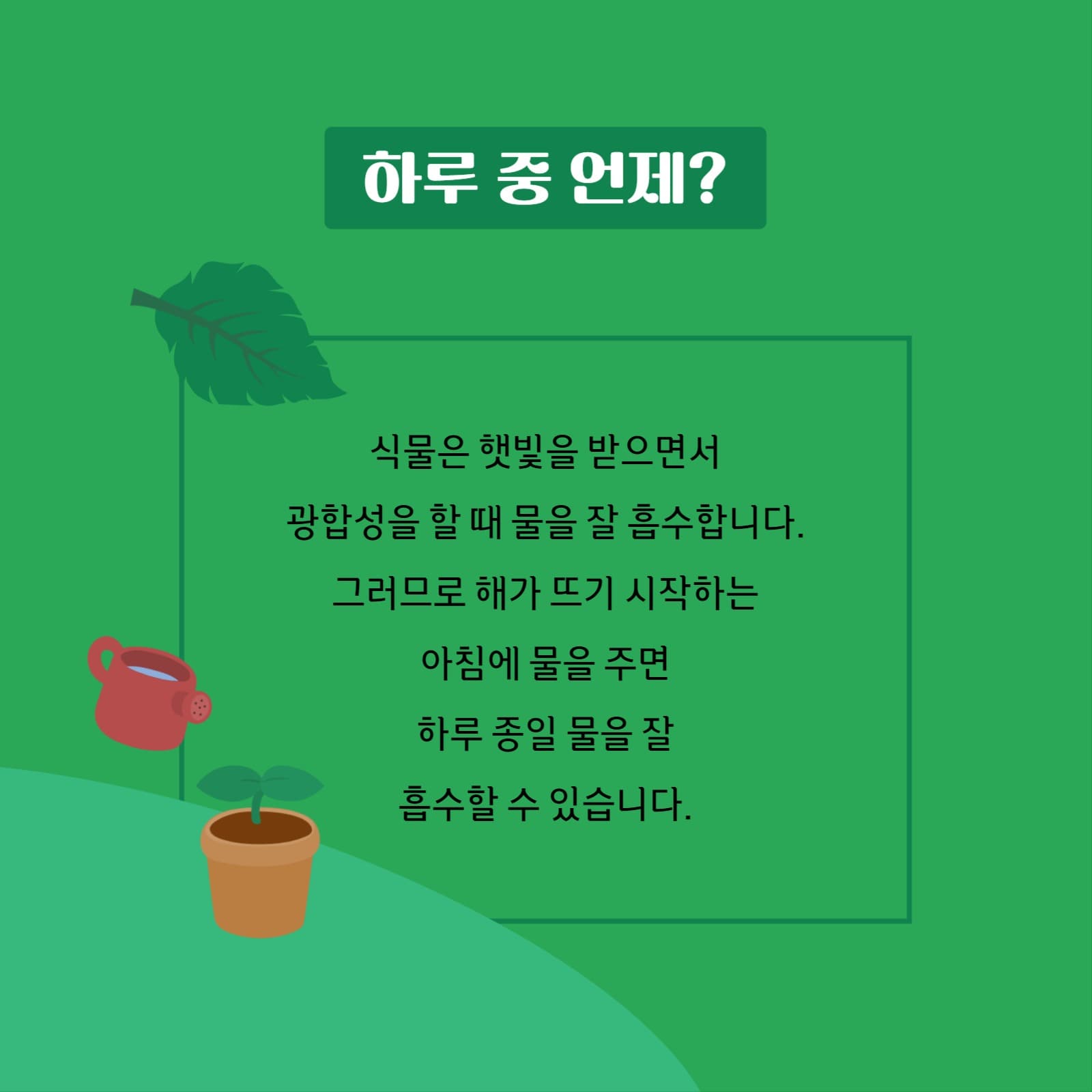 정원 가꾸기 물주기편 카드뉴스