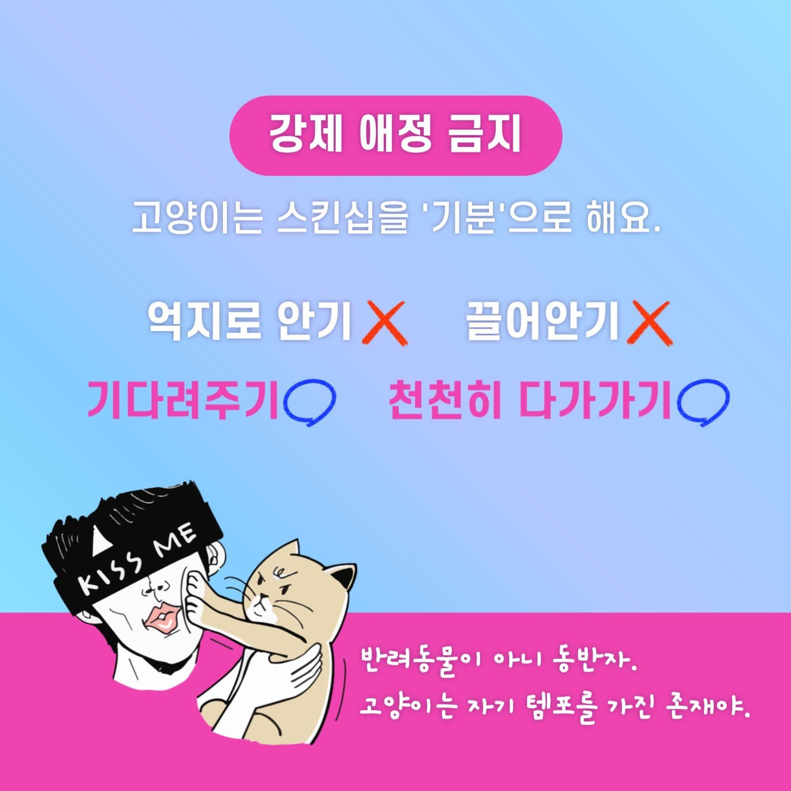 고양이와 집사