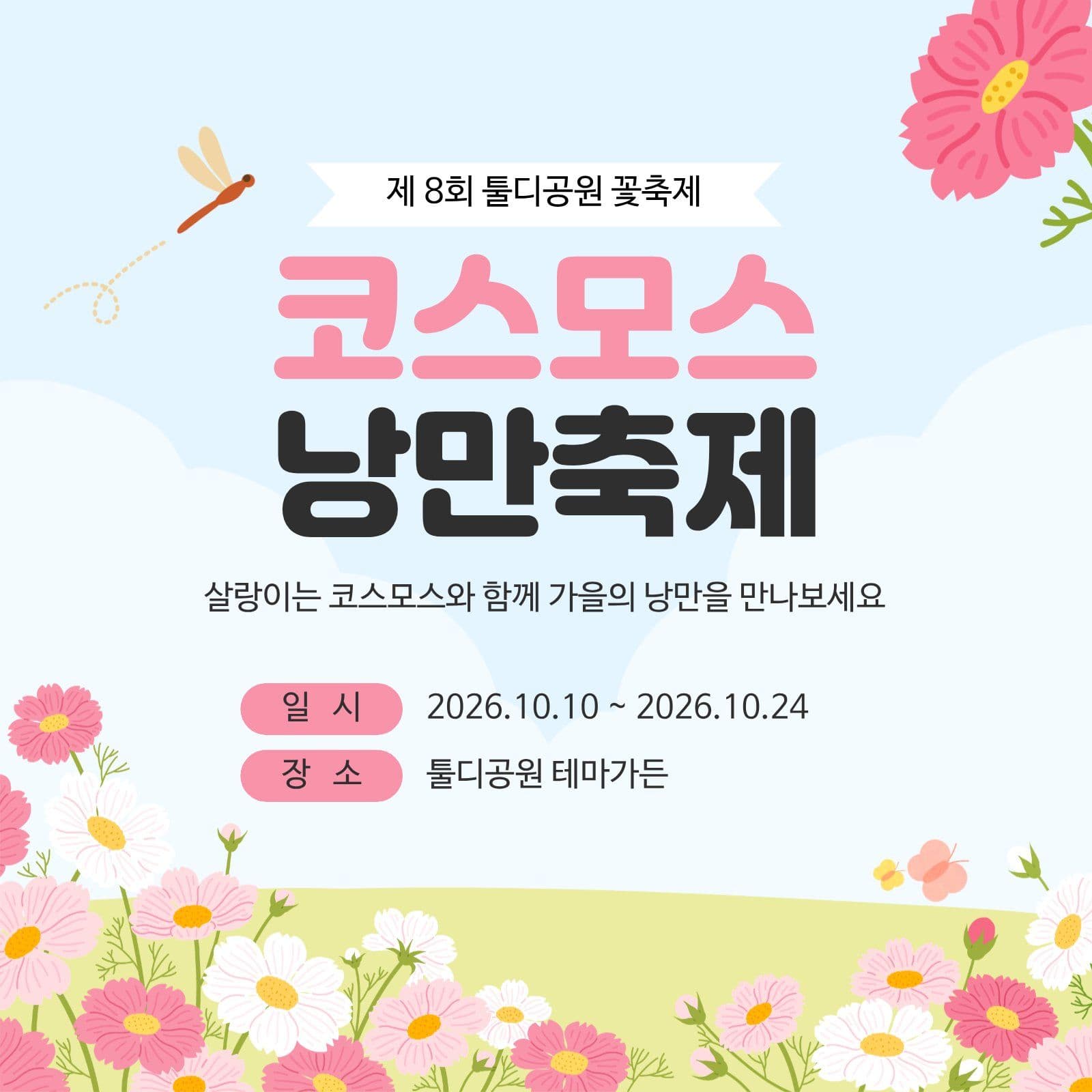코스모스 축제