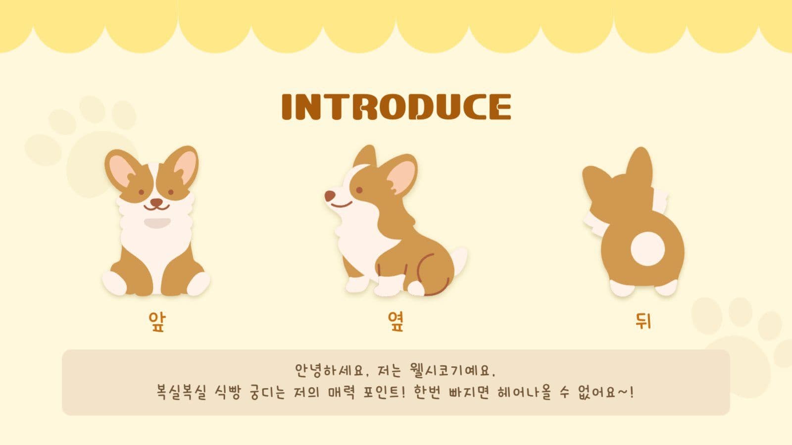 웰시코기 PPT 템플릿
