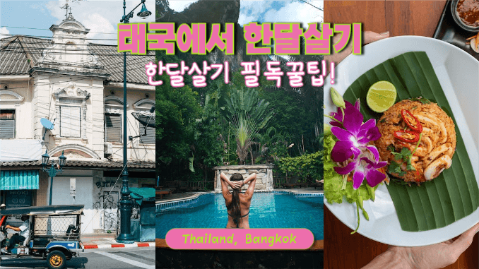 여행 한달살기 필독 꿀팁