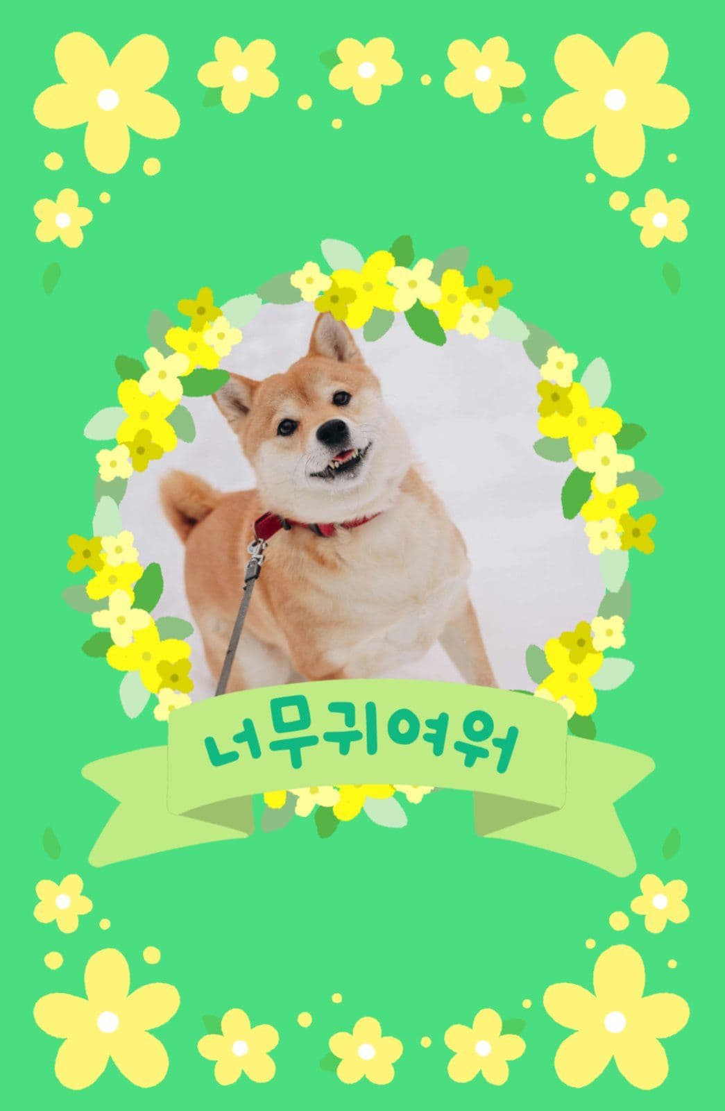 너무귀여워