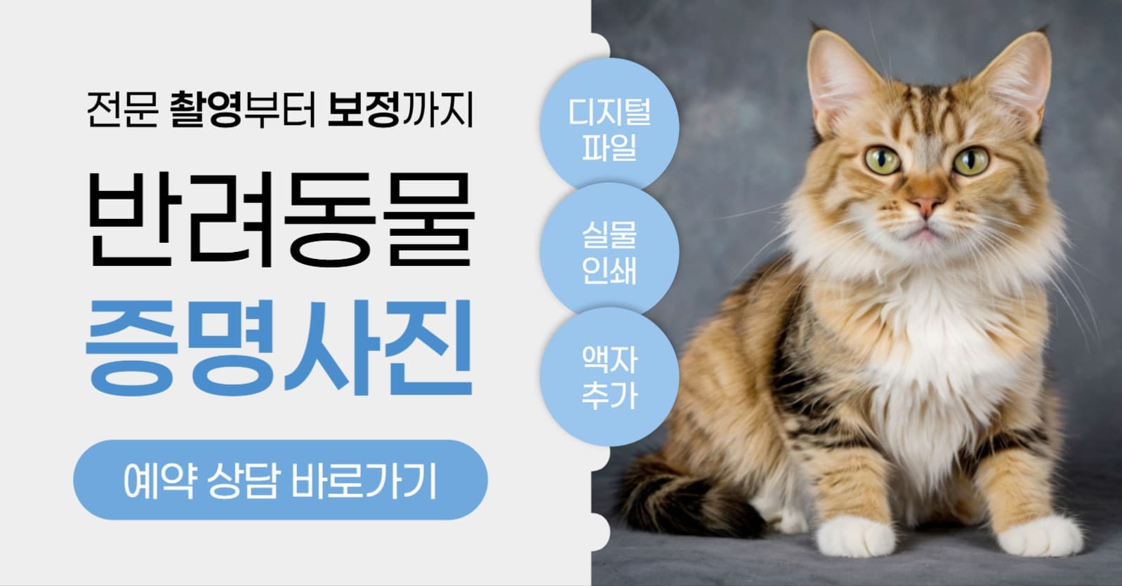 반려동물 증명 사진 제작 홍보