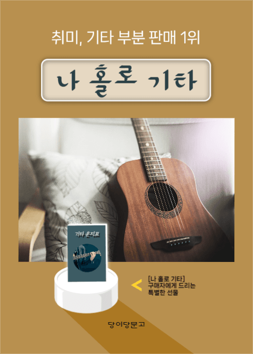 나 홀로 기타