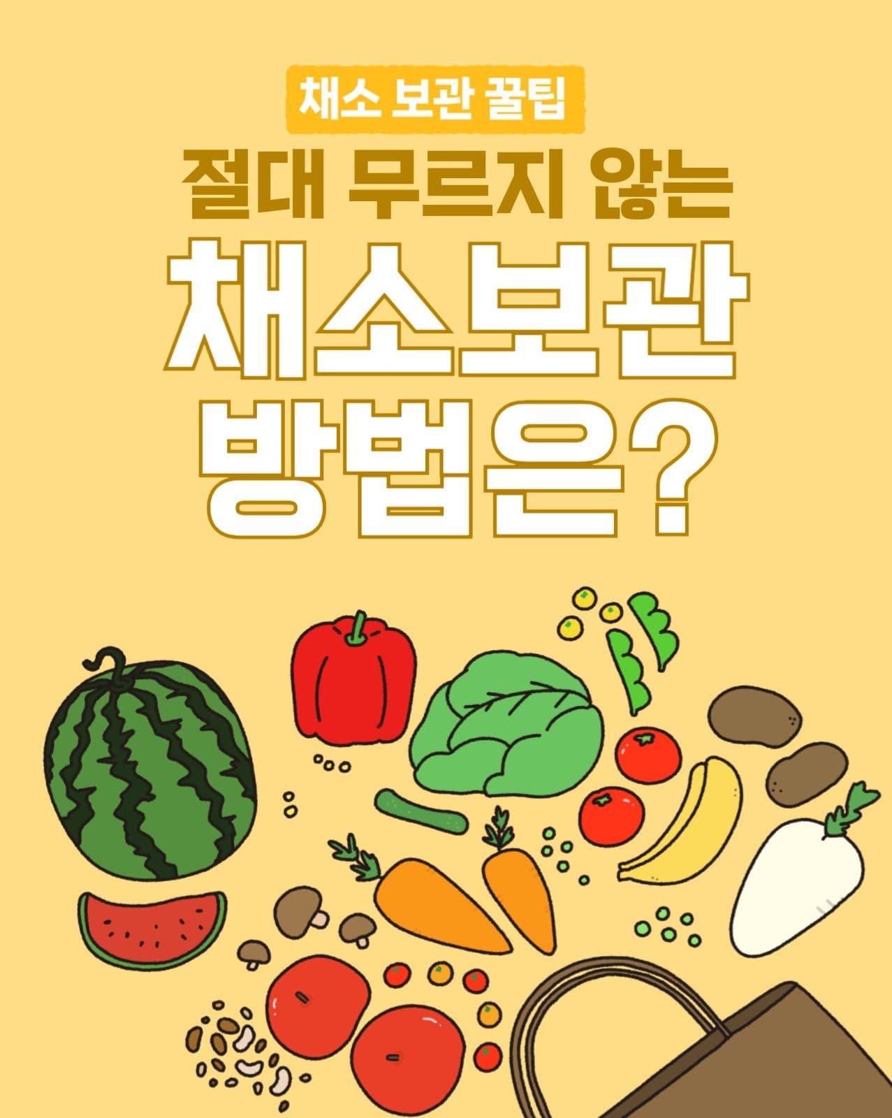채소 보관 꿀팁