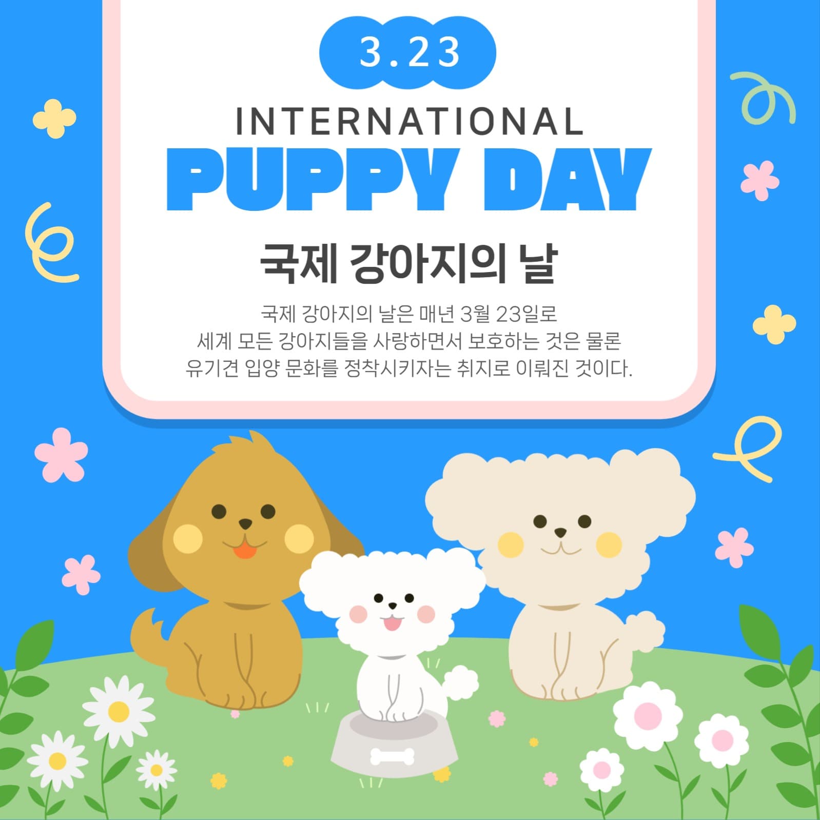 국제 강아지의 날 홍보