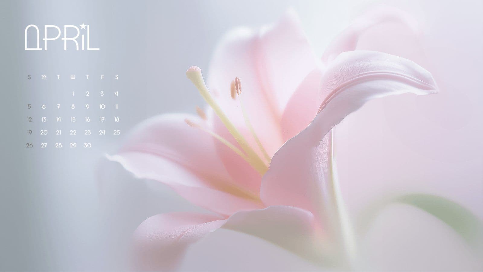 심플한 배경화면