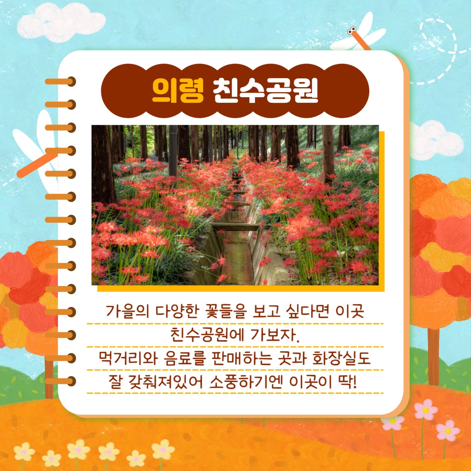 가을 소풍 장소 추천 카드뉴스