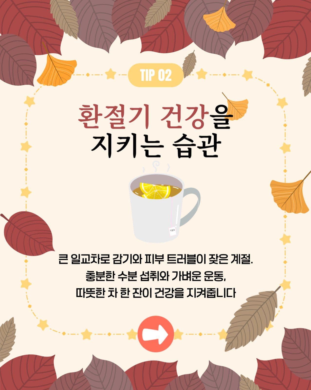 카드뉴스