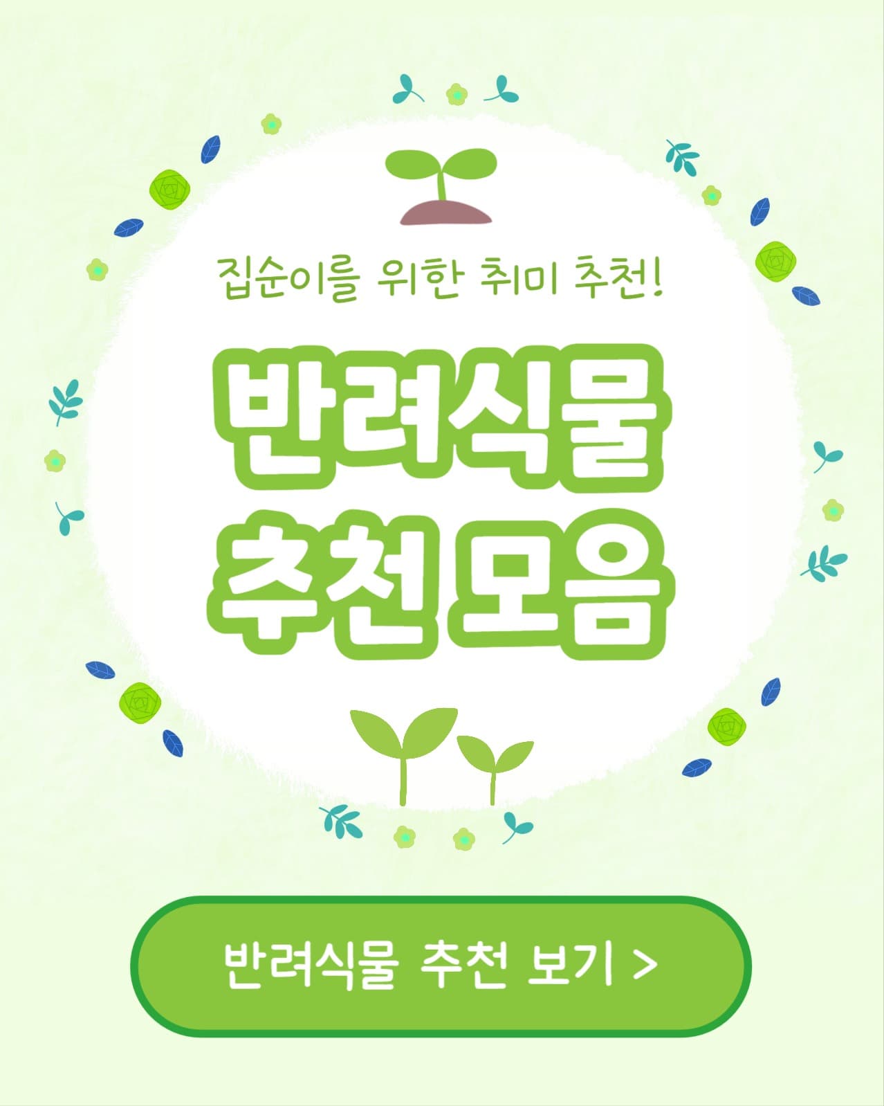 반려식물 추천 모음 인스타