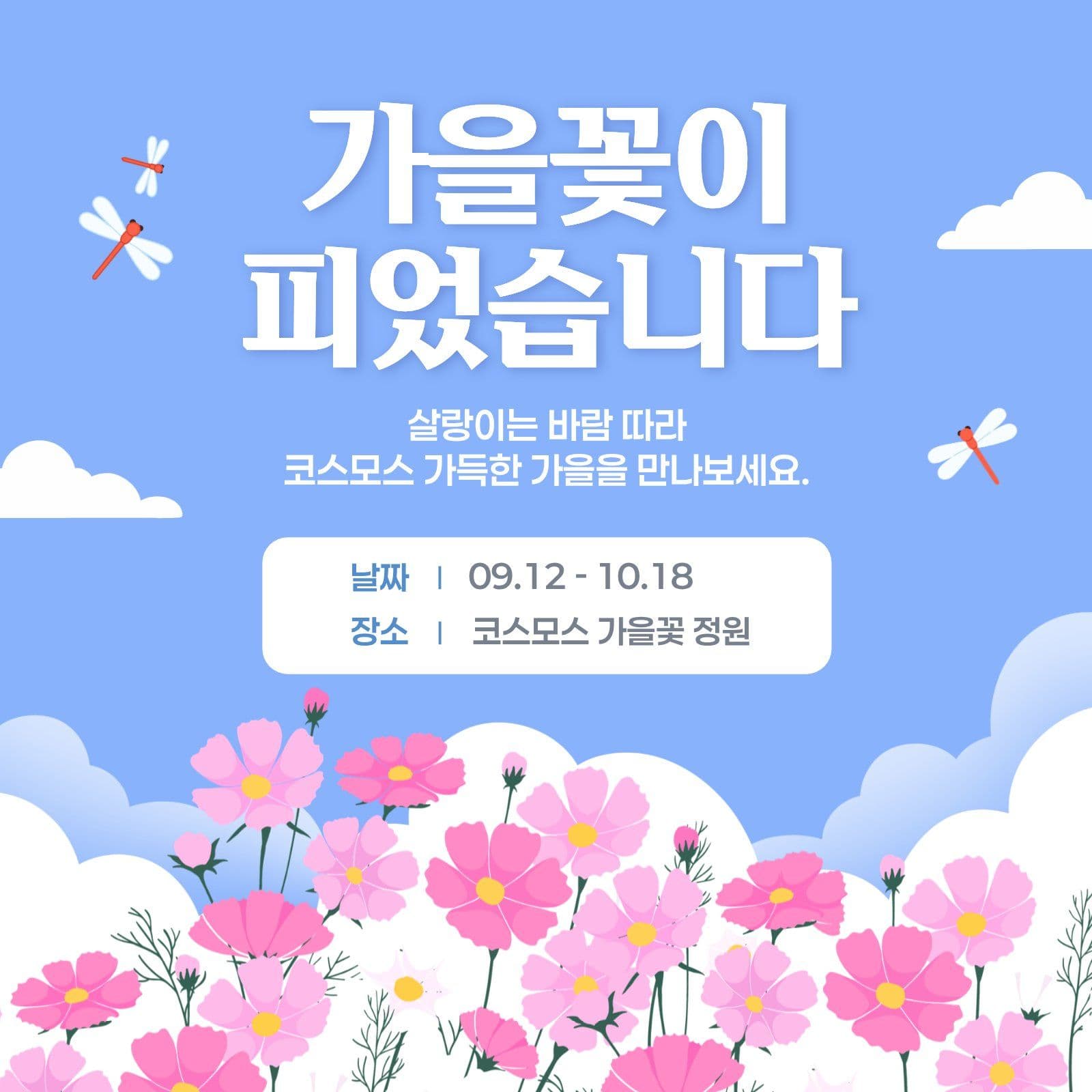 가을꽃 축제 홍보 안내
