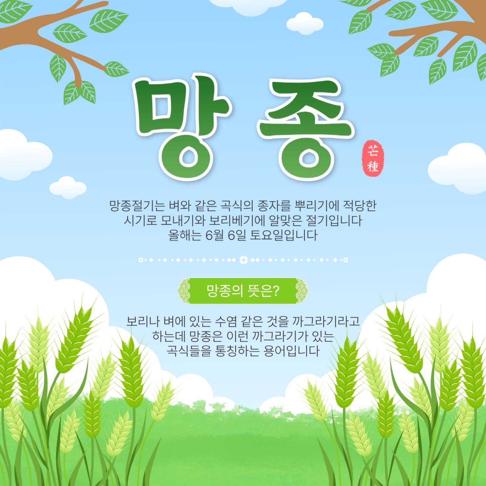 망종절기