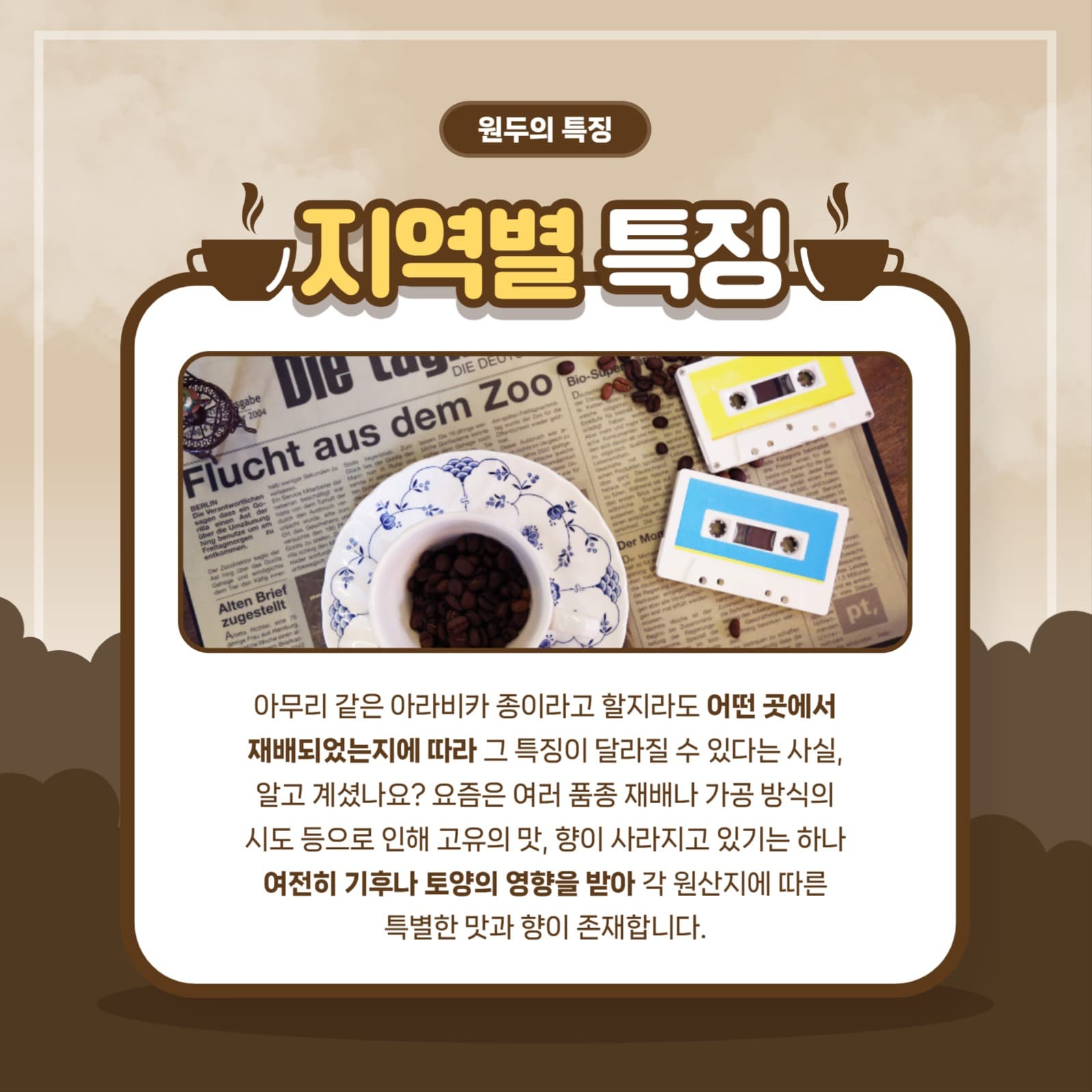 원두의 종류와 특징