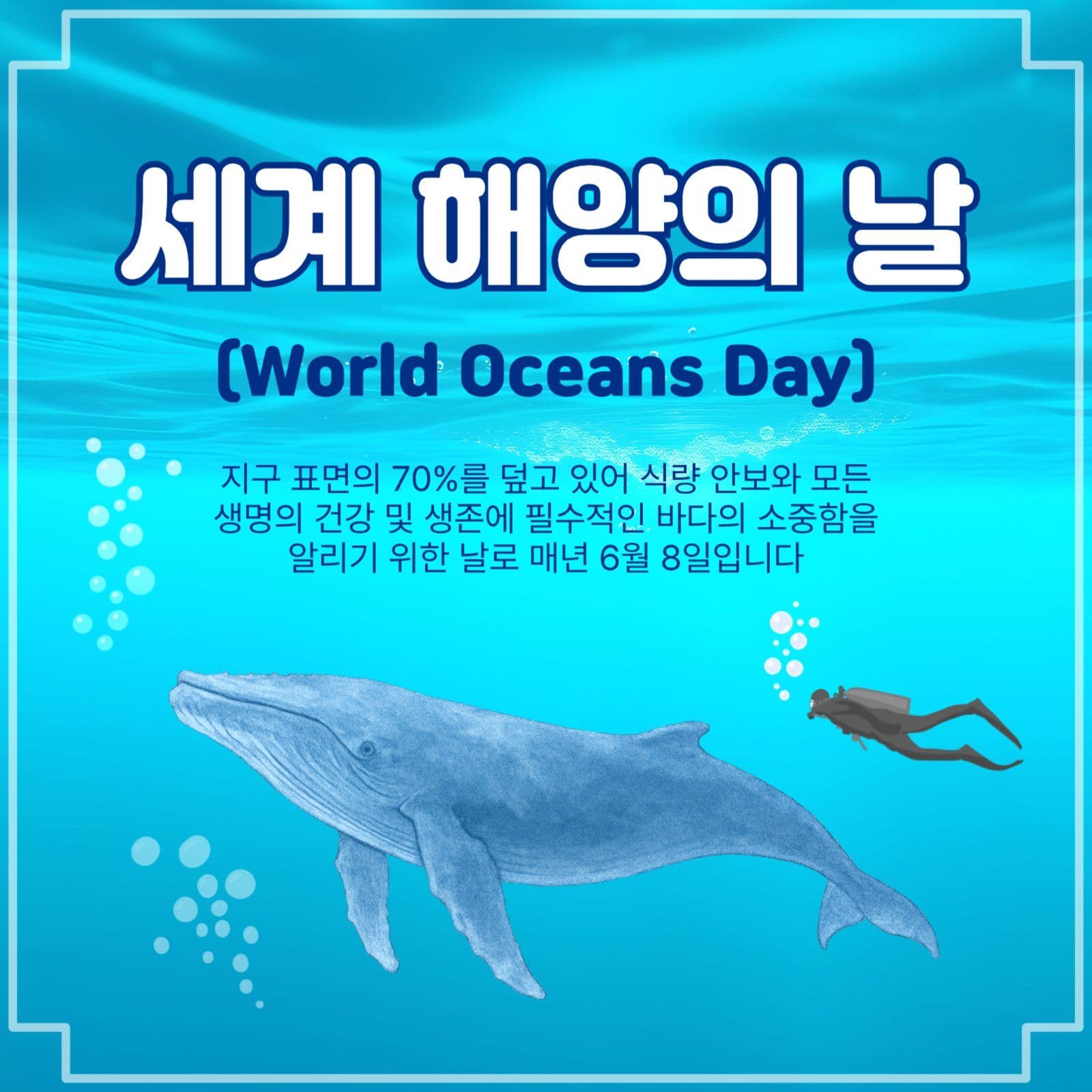 세계해양의날