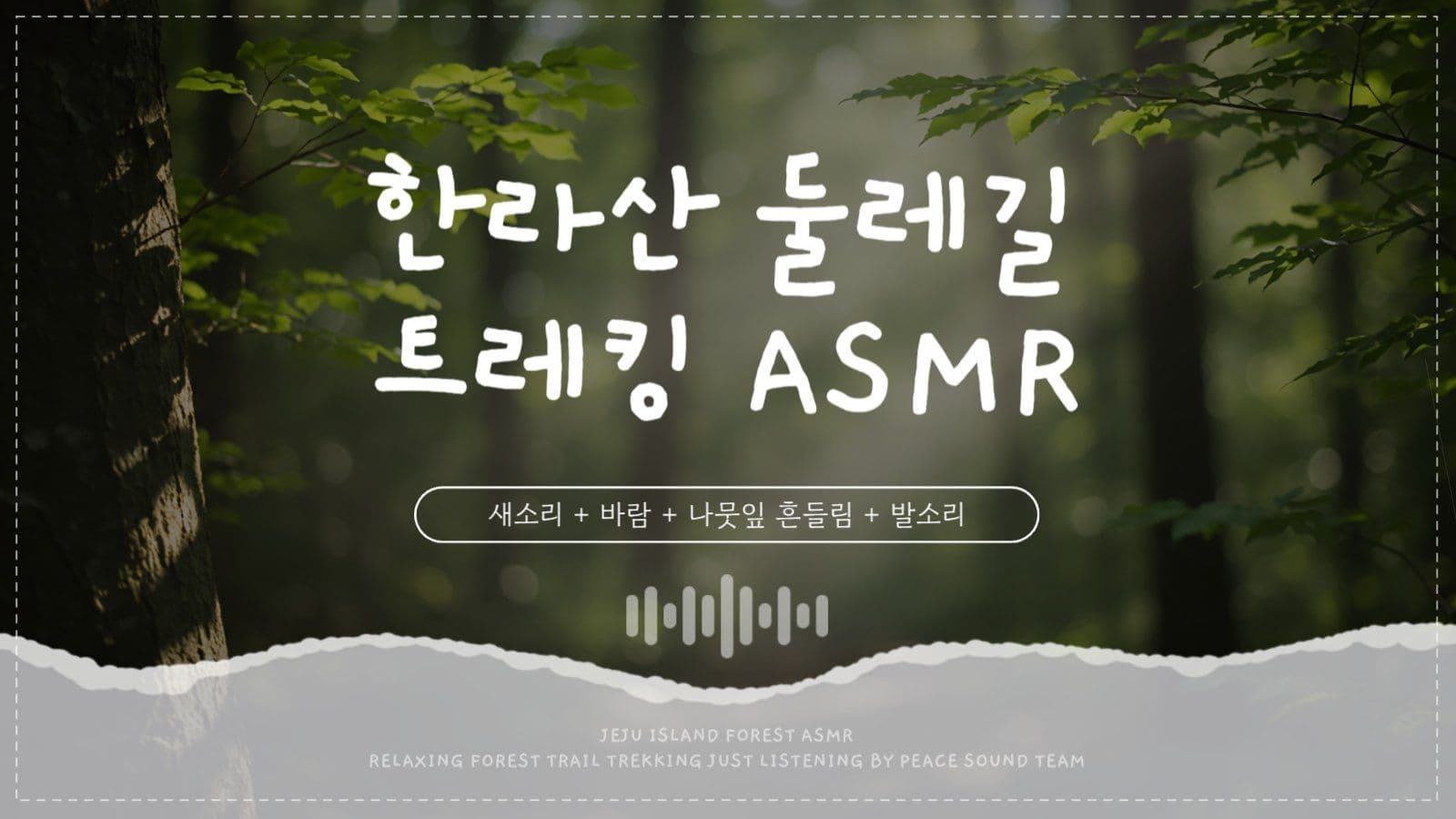 둘레길 트레킹 ASMR 유튜브 썸네일