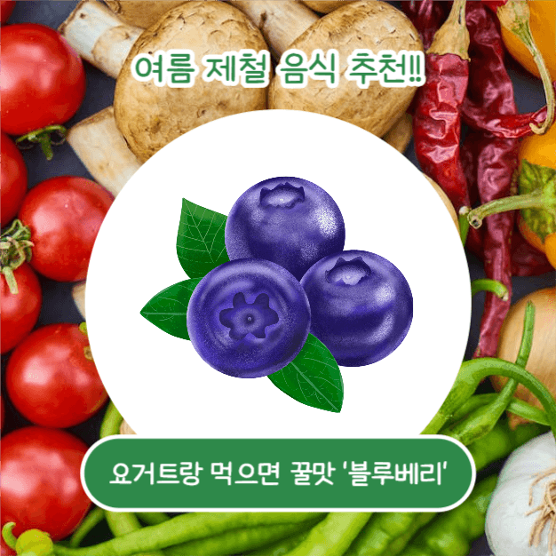 여름철 제철음식 (카드뉴스)