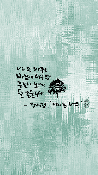 나이든나무