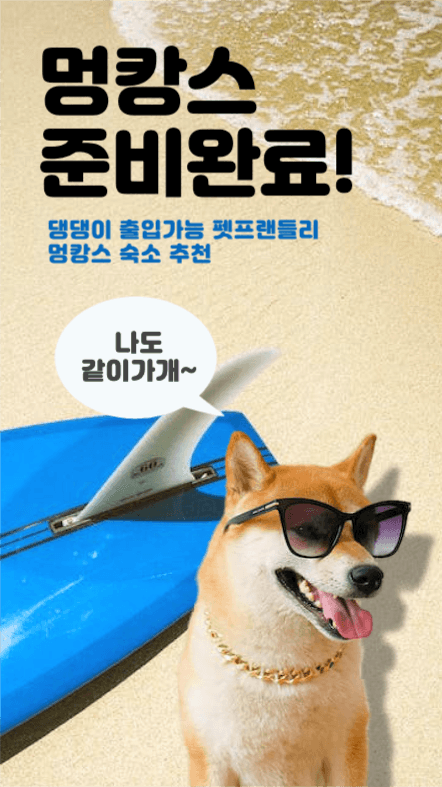 펫숙소 멍캉스 호캉스 펫숙소