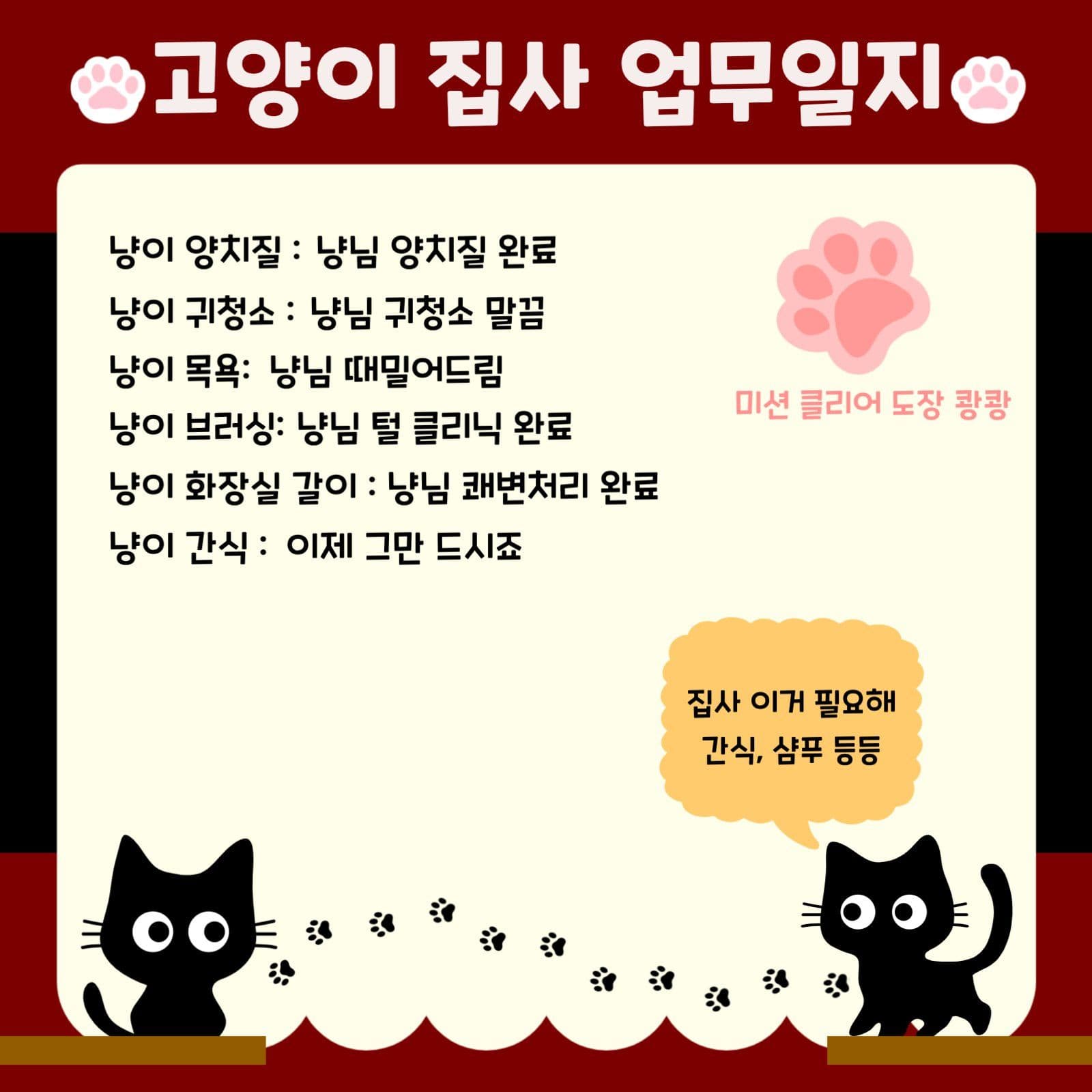 고양이집사