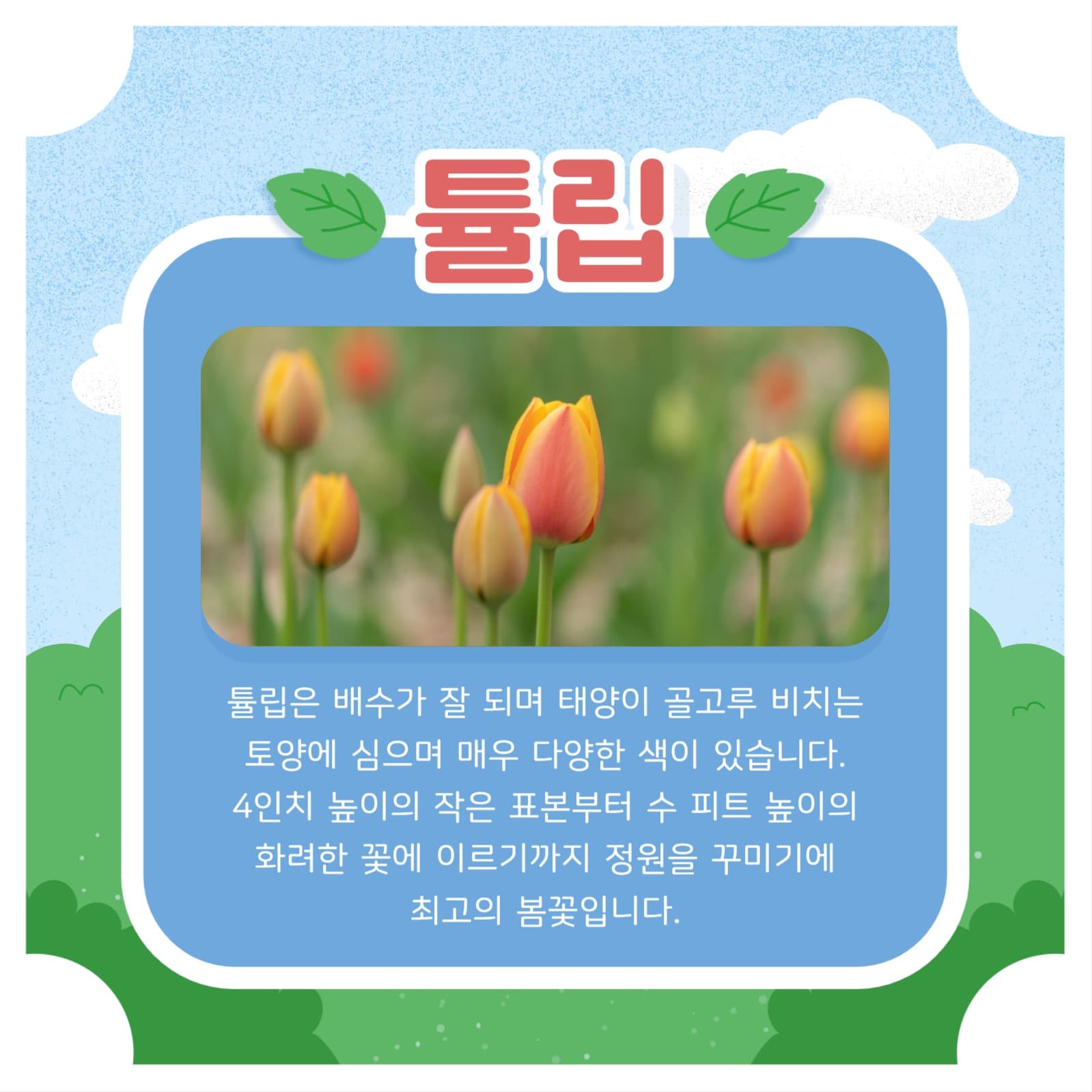 봄꽃 템플릿