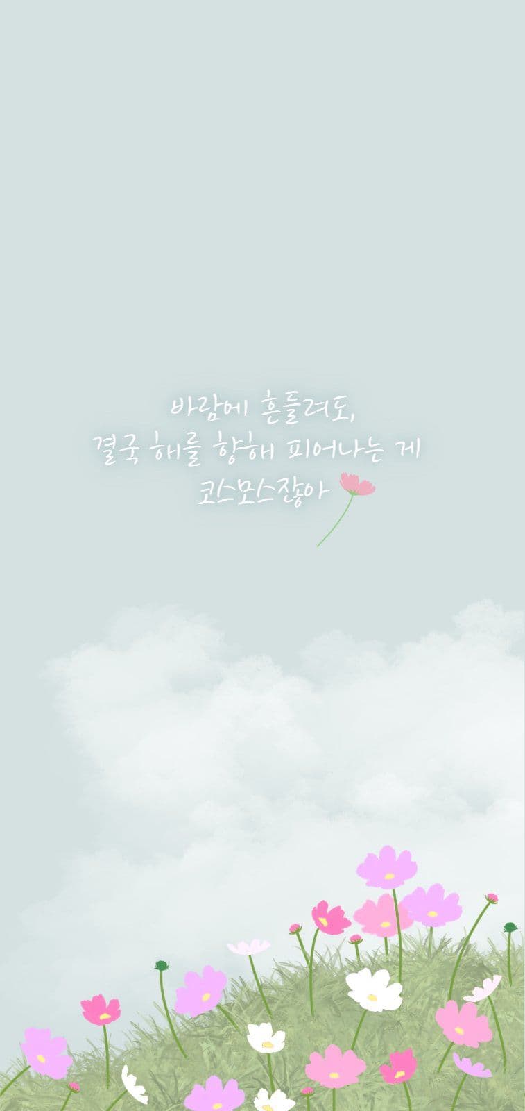 코스모스 들꽃 모바일 배경화면