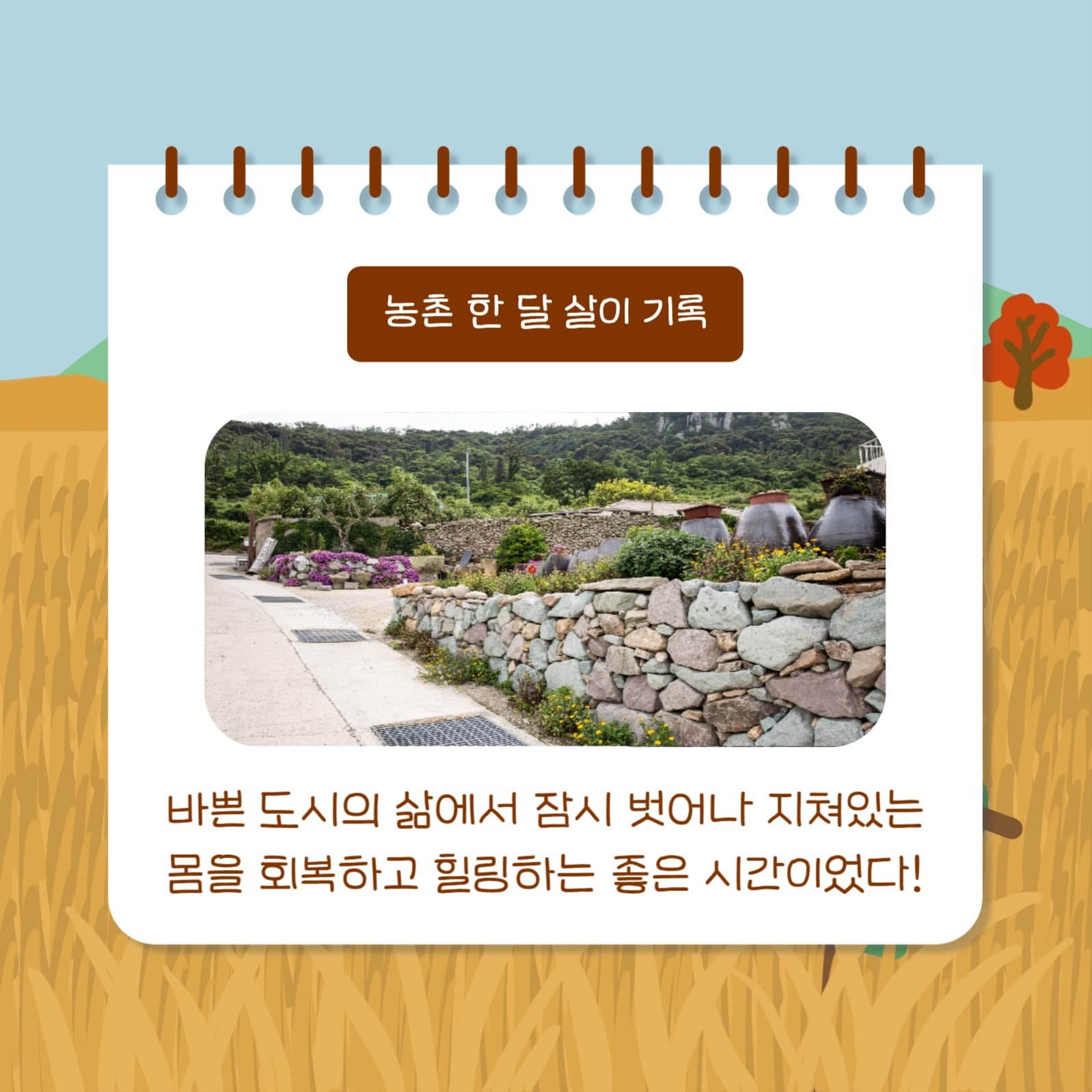 농촌살이 돌아보기 (카드뉴스)
