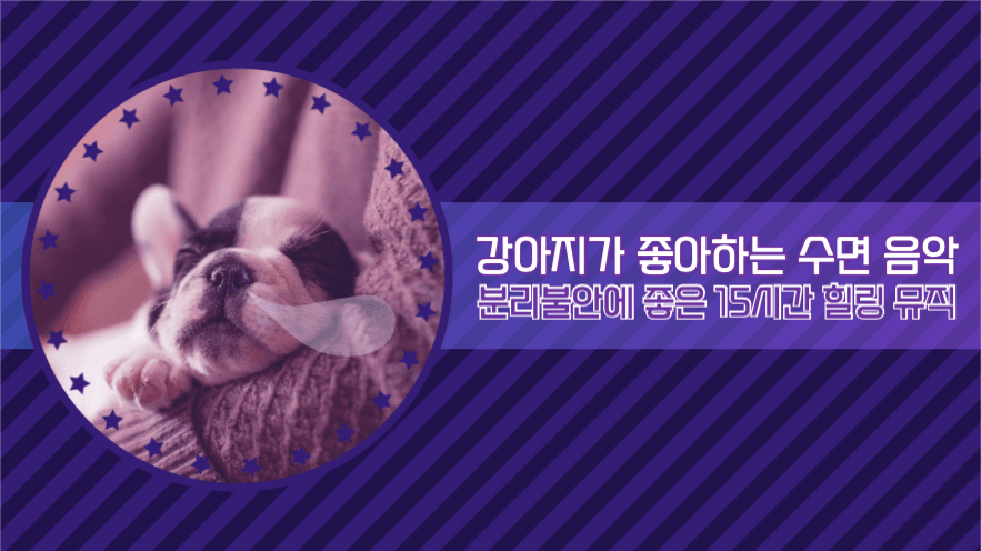 강아지가 좋아하는 수면 음악 힐링뮤직