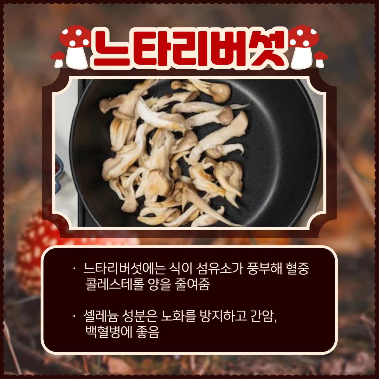 버섯의 종류와 효능 카드뉴스