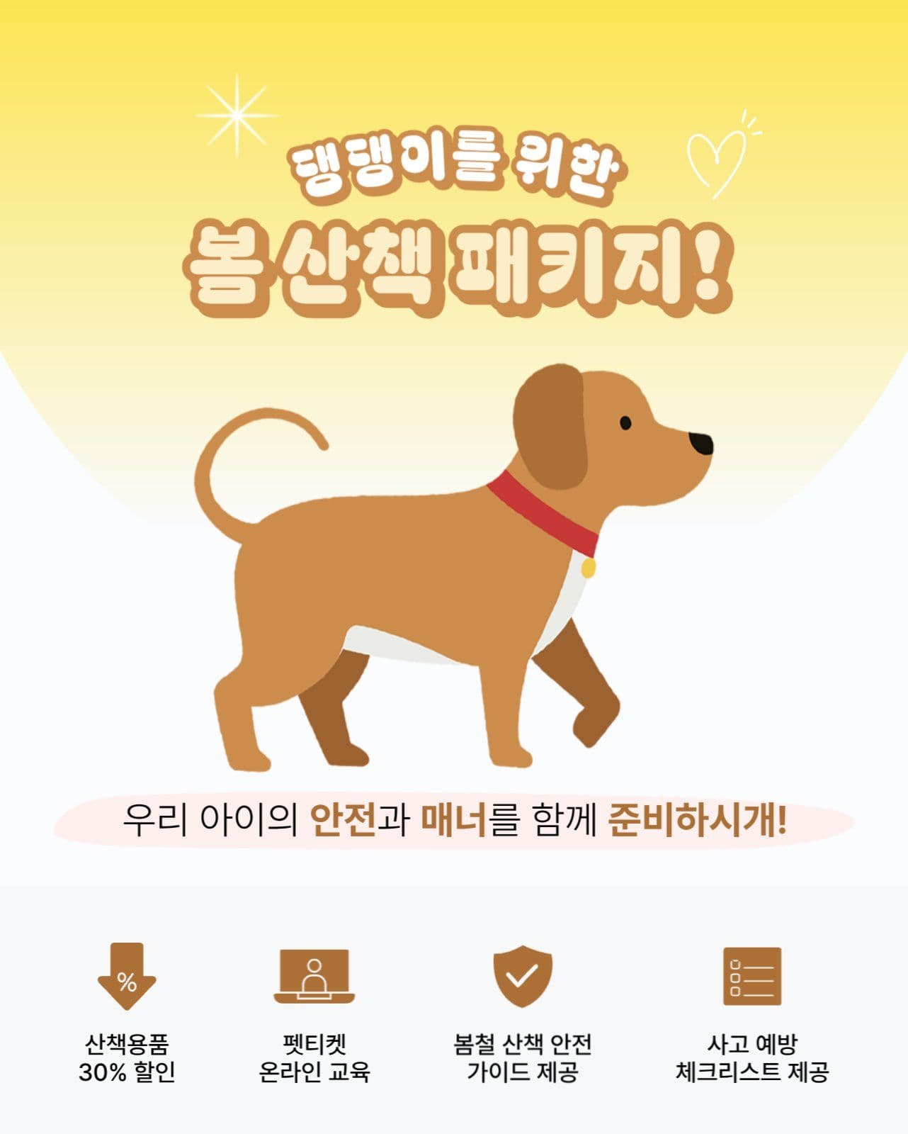 강아지 산책 패키지