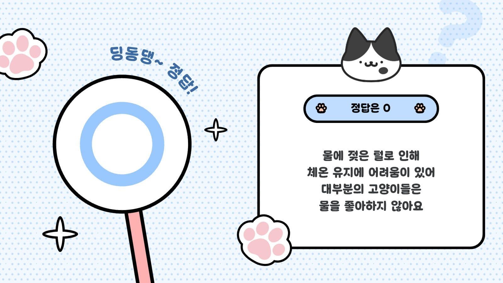 오엑스 퀴즈용 PPT 고양이 편