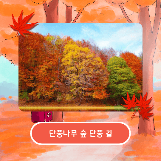 가을은 단풍여행 (카드뉴스)