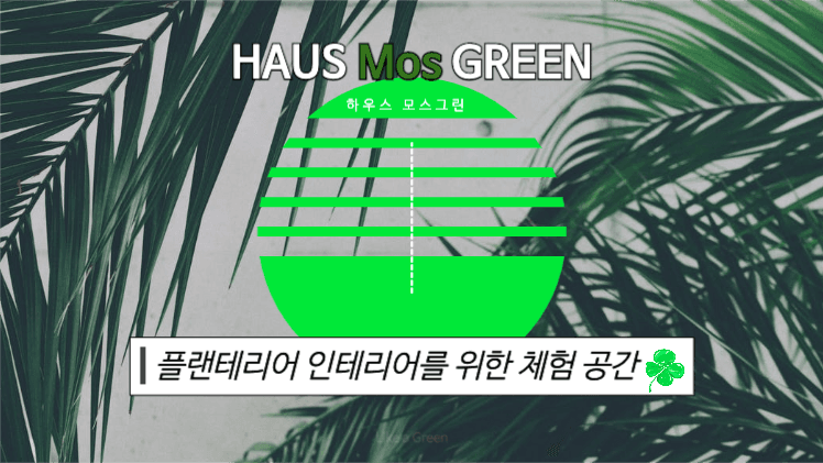 플랜테리어 인테리어 브랜딩 제안