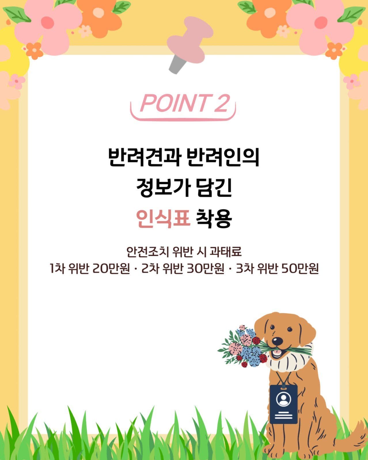 반려동물 펫티켓