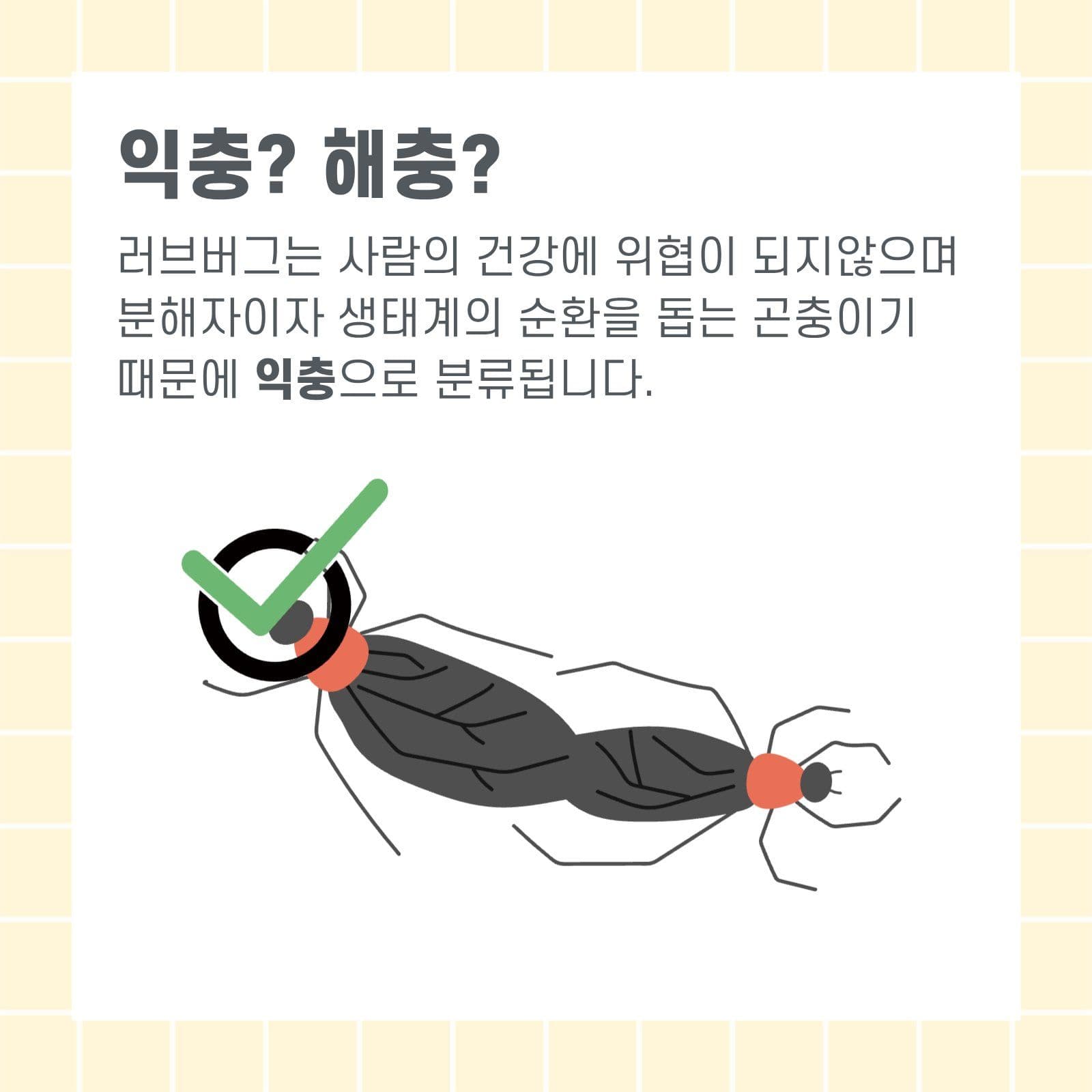 러브버그 카드뉴스