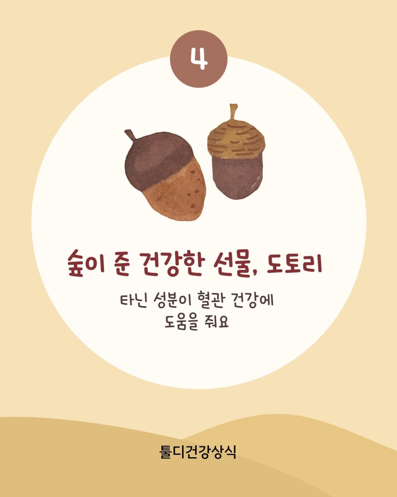 가을 제철 음식 건강정보 카드뉴스