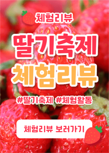 딸기축제 체험리뷰 (이벤트팝업)
