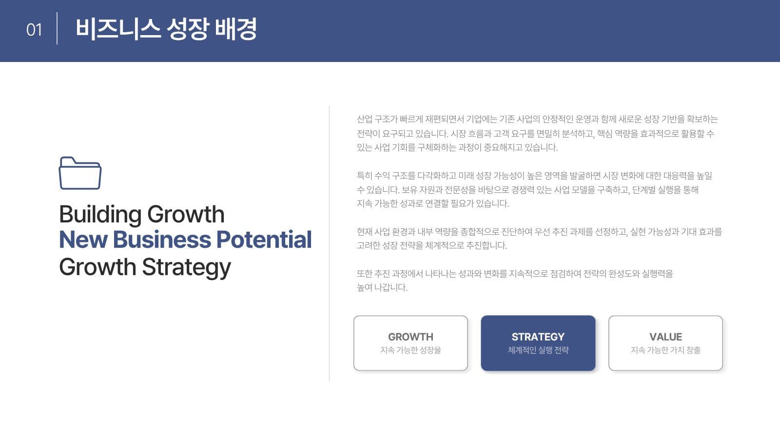 전문적인 비즈니스 성장 전략 제안서