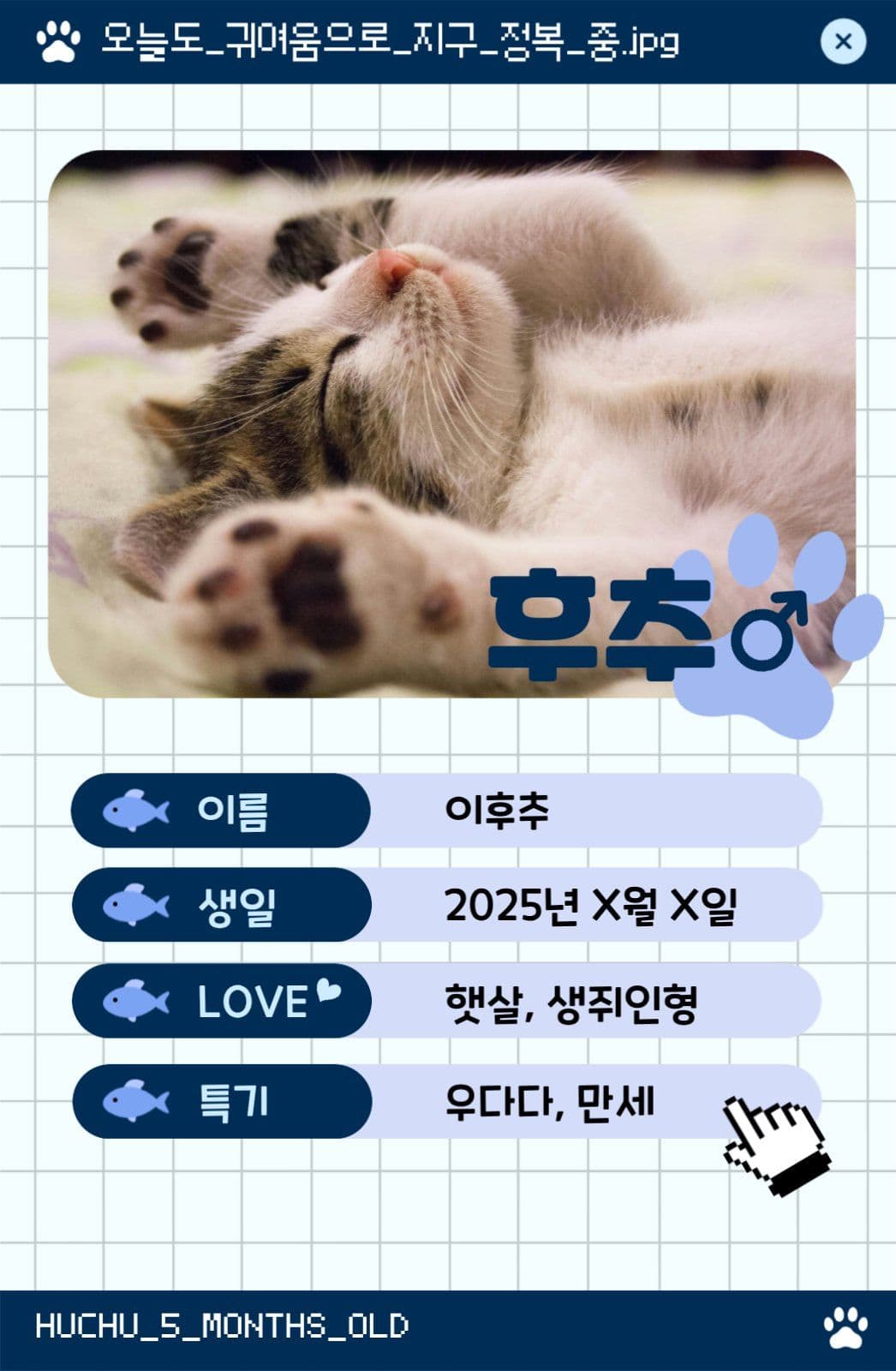 고양이 포토카드