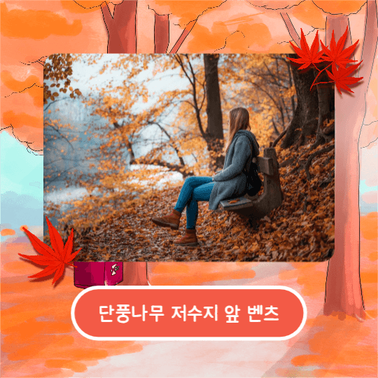 가을은 단풍여행 (카드뉴스)