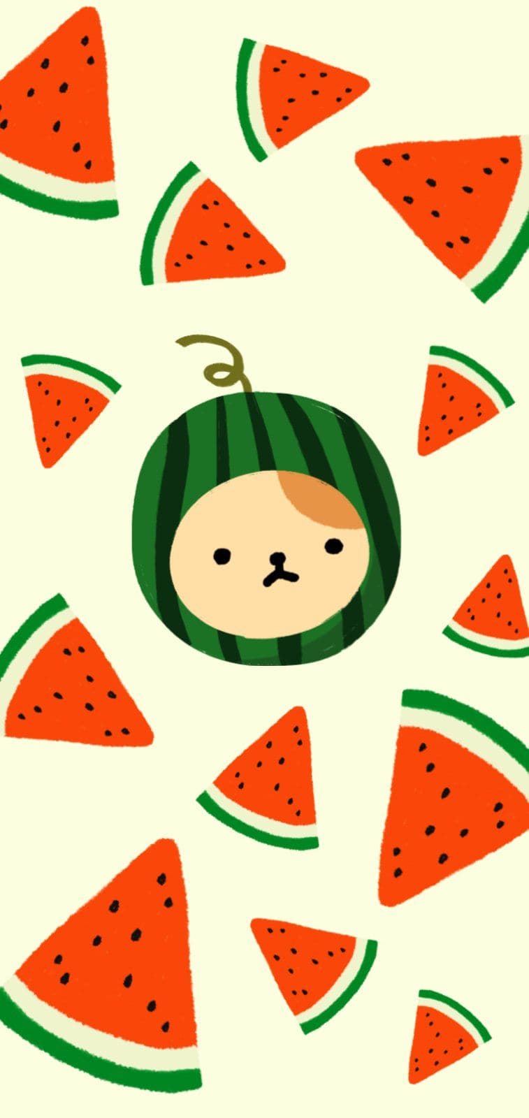 시원하고 달콤한 수박이 왔어요~