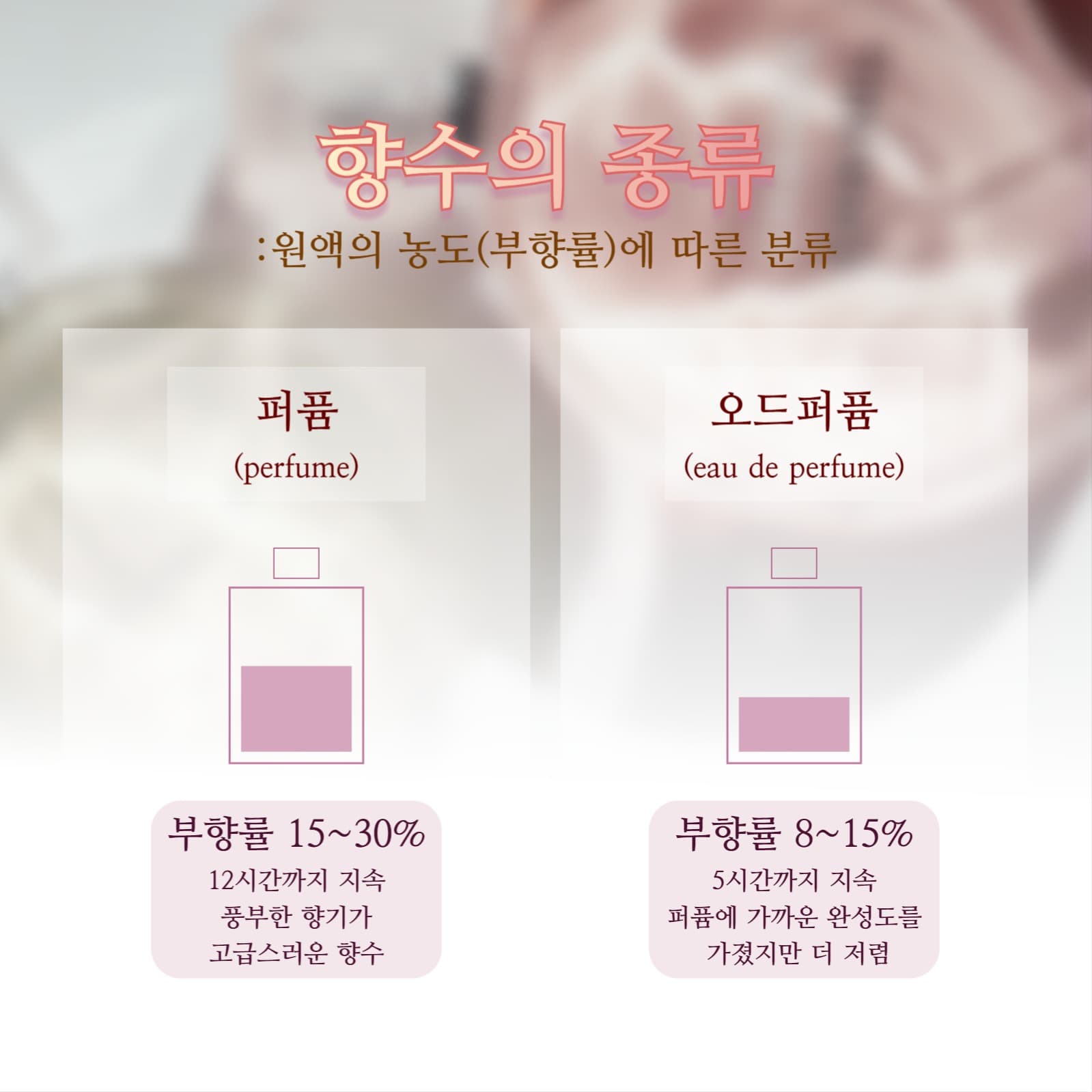 향수 용어 정리